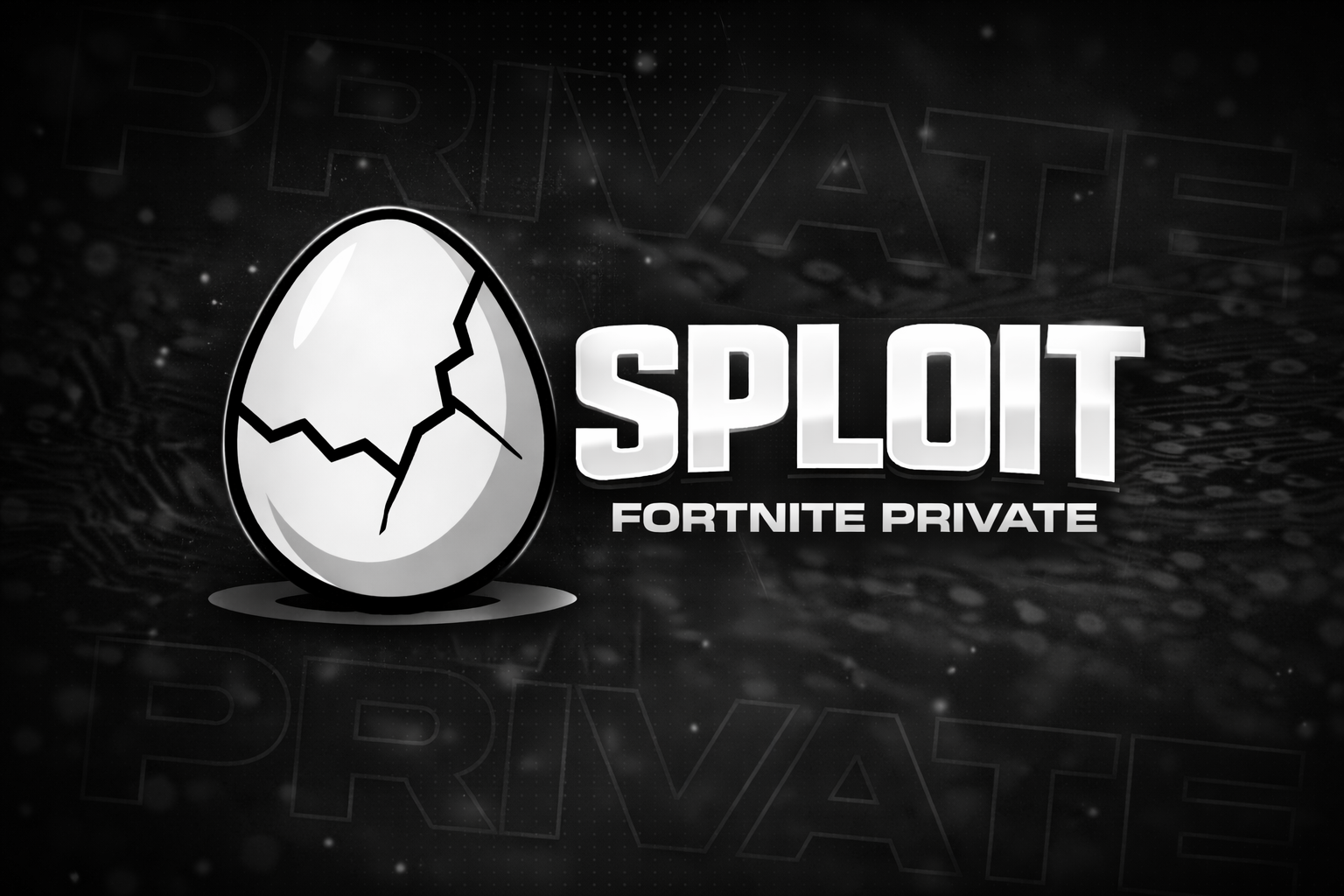 Fortnite Private
