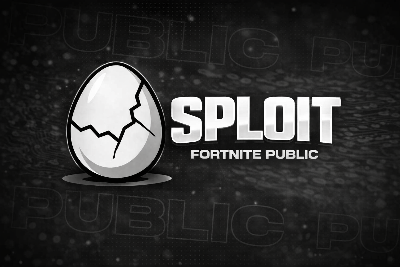 Fortnite Public